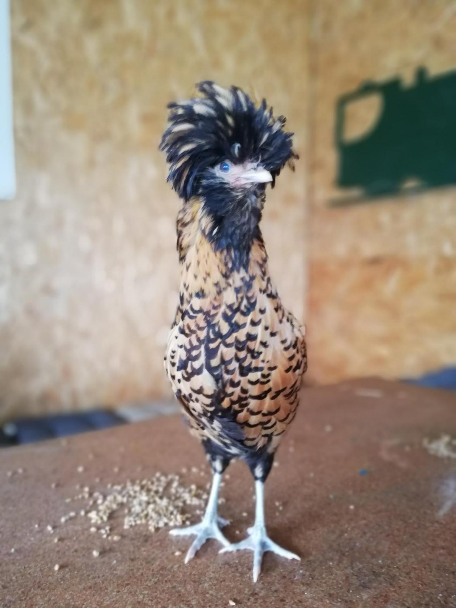 Gite Les Anes De Medeina Ingrannes Exterior foto